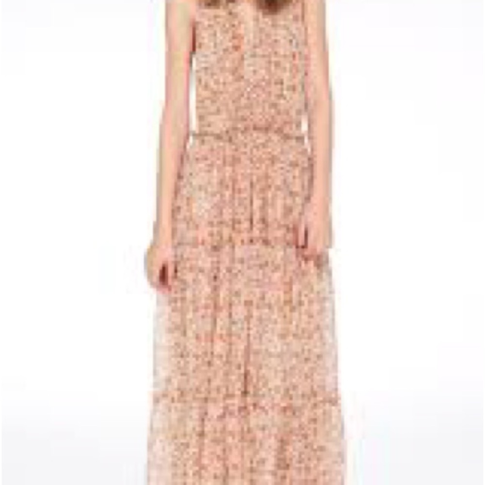 LAST CHANCE ! Derek Lam Floral Sleeveless Maxi Dress